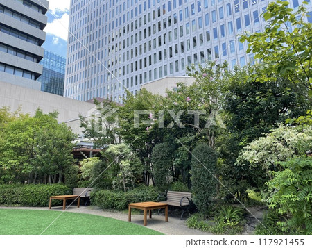 Landscape of many green office streets 117921455