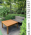 Wooden bench in the greenery 117921457