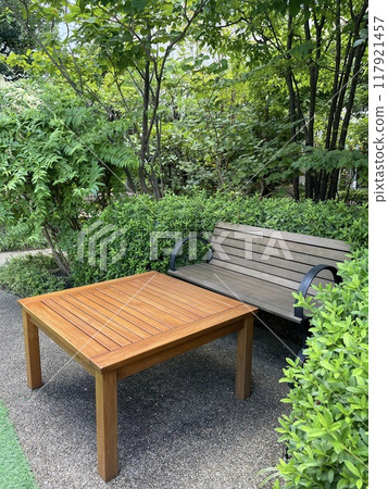 Wooden bench in the greenery 117921457