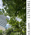 Scenery of a green office district 3 117921461