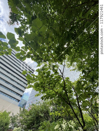 Scenery of a green office district 3 117921461