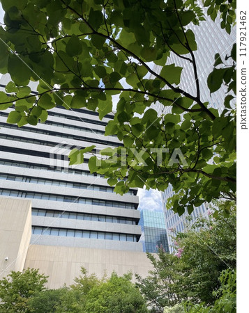 Scenery of an office district with greenery 4 117921462