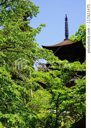 There are many temples in Shiodaira, Kamakura, Shinshu (Daihoji Temple) 117921475