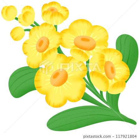 yellow orchid flower 117921804