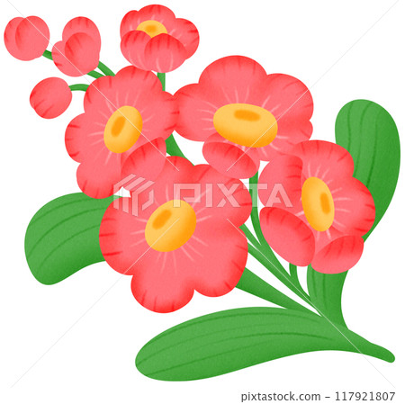 red orchid flower 117921807