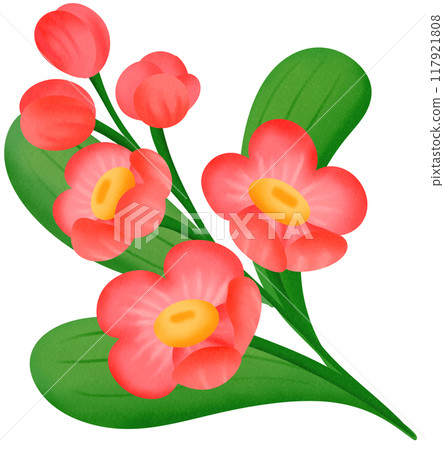 red orchid flower 117921808