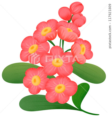 red orchid flower 117921809