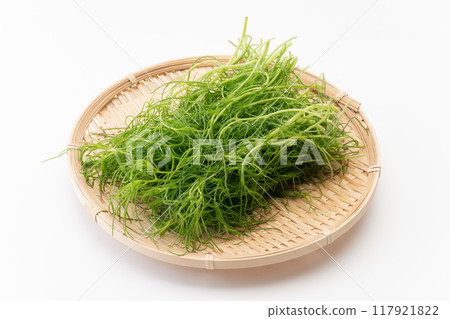 Okahijiki on a bamboo basket Okahijiki on a bamboo basket 117921822