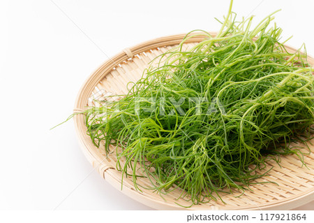 Okahijiki on a bamboo basket Okahijiki on a bamboo basket 117921864