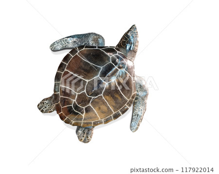 Sea turtle isolated on white background. Top view. 117922014