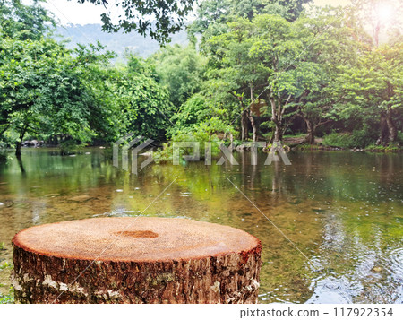 Empty tree stump for displaying products natural water stream background. Empty tree stump for displaying products natural water stream background. 117922354