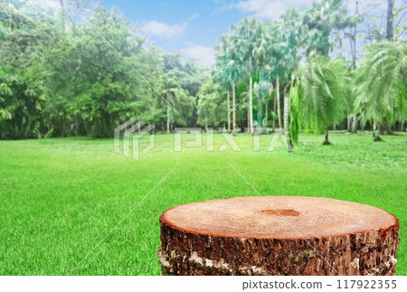 Empty tree stump for displaying products natural green tree background. Empty tree stump for displaying products natural green tree background. 117922355