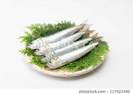 Raw sardines on a bamboo basket Raw sardines on a bamboo basket 117922490