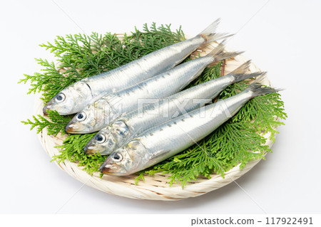Raw sardines on a bamboo basket Raw sardines on a bamboo basket 117922491