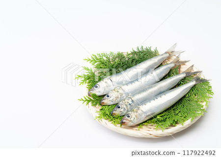 Raw sardines on a bamboo basket 117922492