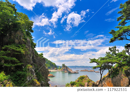 從通往東北、小袖海岸、小袖海中心的道路上眺望平靜的海岸線 - 岩手縣久慈市 (3) 117922531