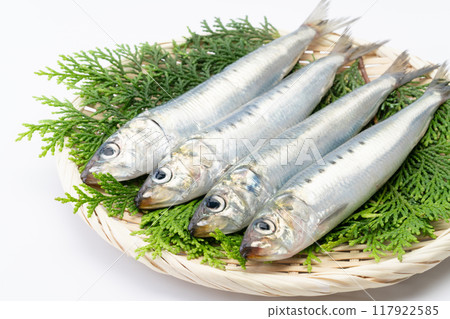 竹漏勺上的生沙丁魚 117922585