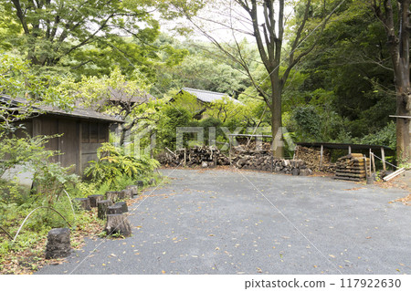 Summer at Maioka Furusato Park in Totsuka Ward, Yokohama's original landscape Summer at Maioka Furusato Park in Totsuka Ward, Yokohama's original landscape 117922630