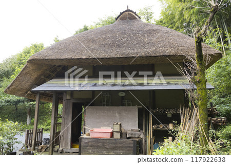 橫濱原始風景的戶塚區舞岡故裡公園的夏天 117922638