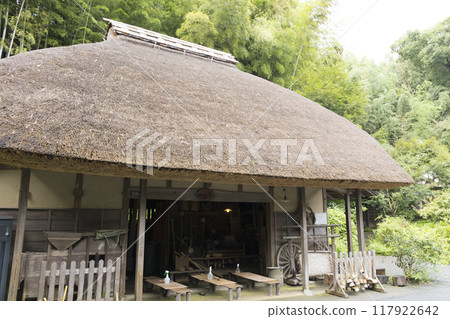 Summer at Maioka Furusato Park in Totsuka Ward, Yokohama's original landscape 117922642