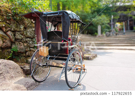 Rickshaw in tourist area 117922655