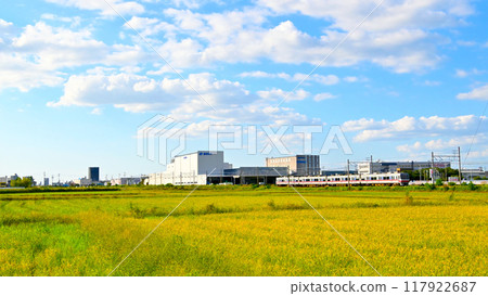 Meitetsu 1200 series train and autumn countryside Meitetsu 1200 series train and autumn countryside 117922687