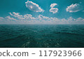 水平線 117923966