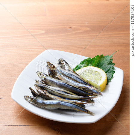 和歌山縣串本港產的隔夜乾獼猴桃(乾獼猴桃) 和歌山縣串本港產的隔夜乾獼猴桃(乾獼猴桃) 117924102