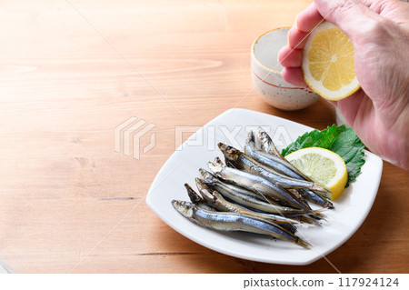 和歌山縣串本港產的隔夜乾獼猴桃（乾獼猴桃） 117924124