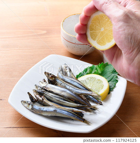 和歌山縣串本港產的隔夜乾獼猴桃（乾獼猴桃） 117924125