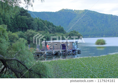 滋賀縣與古湖的浮島和水生植物 117924181