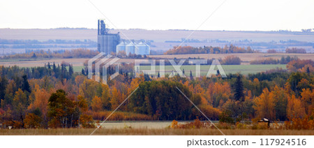 Autumn landscape in prairies - morning scene with grain elevator, yellow trees and fields. 117924516