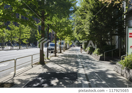 Ginkgo tree lined streets in Otemachi, Tokyo Ginkgo tree lined streets in Otemachi, Tokyo 117925085