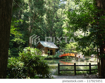 靜岡縣, 週知地區, 小國神社, 八月, 陽光明媚, 言池, 八王子神社 117925851