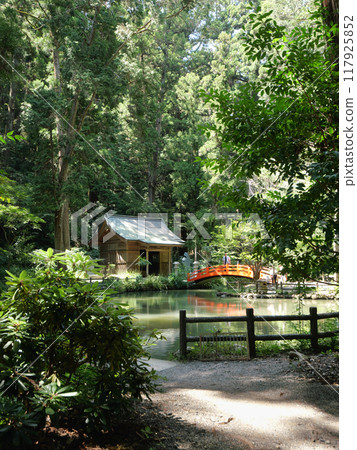 Shizuoka Prefecture, Shuchi District, Oguni Shrine, August, Sunny, Kotomachi Pond, Hachioji Shrine Shizuoka Prefecture, Shuchi District, Oguni Shrine, August, Sunny, Kotomachi Pond, Hachioji Shrine 117925852