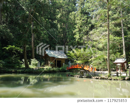 靜岡縣, 週知地區, 小國神社, 八月, 陽光明媚, 言池, 八王子神社 117925853