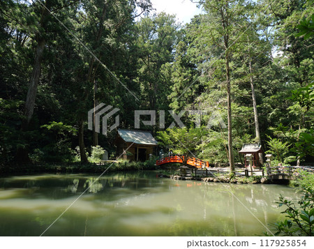 靜岡縣, 週知地區, 小國神社, 八月, 陽光明媚, 言池, 八王子神社 117925854