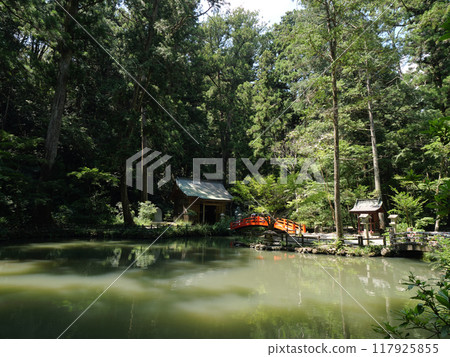 靜岡縣, 週知地區, 小國神社, 八月, 陽光明媚, 言池, 八王子神社 117925855