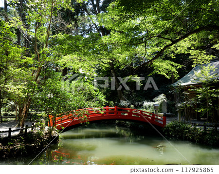 Shizuoka Prefecture, Shuchi District, Oguni Shrine, August, Sunny, Hachioji Shrine 117925865
