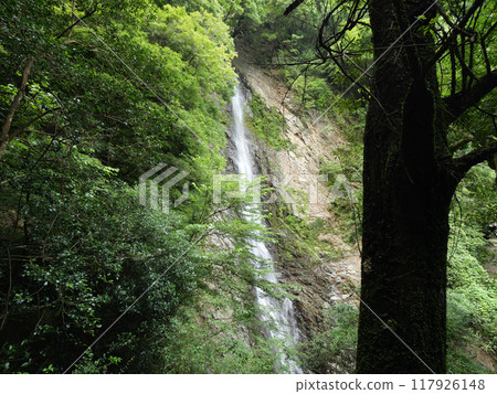 Shizuoka Prefecture, Fujieda City, Umine Falls, August Shizuoka Prefecture, Fujieda City, Umine Falls, August 117926148