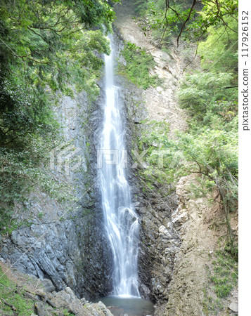 靜岡縣藤枝市 Umine 瀑布，8 月 117926152