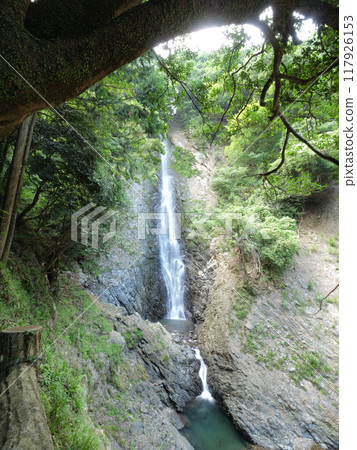 靜岡縣藤枝市 Umine 瀑布，8 月 117926153