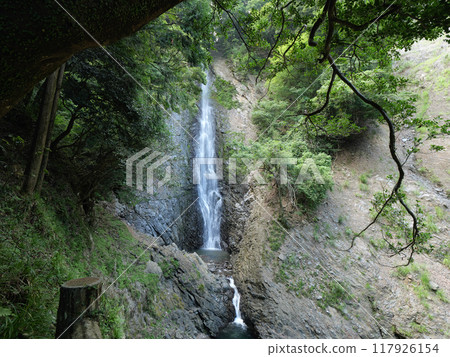 靜岡縣藤枝市 Umine 瀑布，8 月 117926154