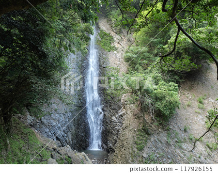 靜岡縣藤枝市 Umine 瀑布，8 月 117926155