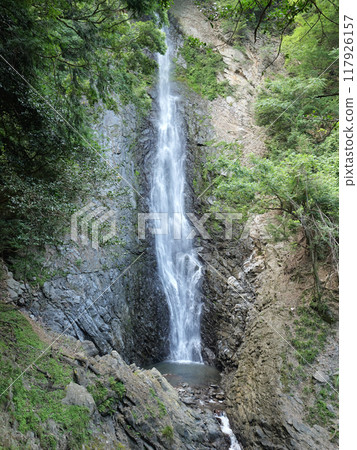 靜岡縣藤枝市 Umine 瀑布，8 月 117926157