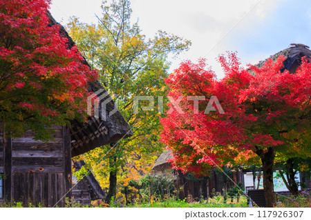 Autumn scenery of Shirakawa-go, Gifu Prefecture 117926307