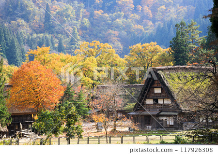 Autumn scenery of Shirakawa-go, Gifu Prefecture 117926308