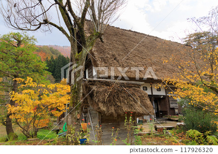 岐阜縣白川鄉的秋景 岐阜縣白川鄉的秋景 117926320
