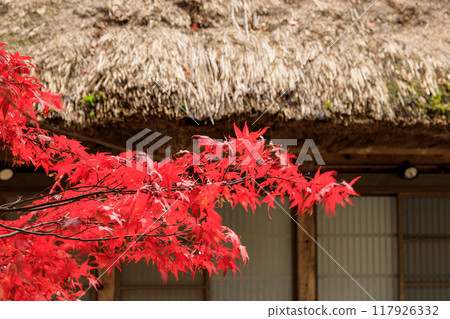 Autumn scenery of Shirakawa-go, Gifu Prefecture Autumn scenery of Shirakawa-go, Gifu Prefecture 117926332