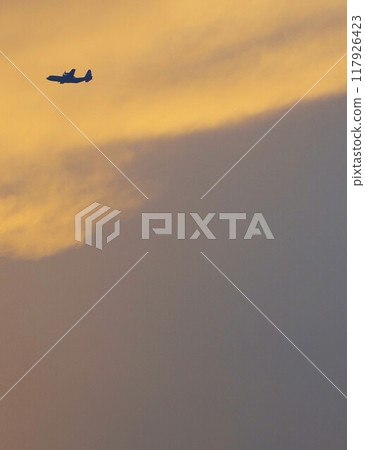 飛機在暮光之城飛行 飛機在暮光之城飛行 117926423